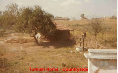 turkish home